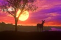 Silhouette deer standing nearly big tree with beautiful sunset twilight sky background