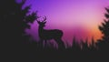 Silhouette deer.