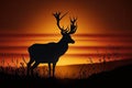 silhouette of deer, with warm glow of sunrise in the background