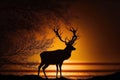 silhouette of deer, with warm glow of sunrise in the background