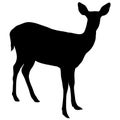 Silhouette of the deer on a white background Royalty Free Stock Photo