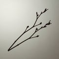 Is thin and dark, with small buds forming at intervals along Royalty Free Stock Photo