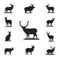 Silhouette depicts different deer in various stances, showcasing Royalty Free Stock Photo