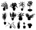 Silhouette of different potted plants
