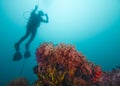 Silhouette of a diver ascending with a buoy line