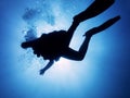 Silhouette of a diver floating in the blue sea