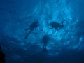 Silhouette of diver`s above on shot line.