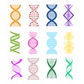 Silhouette DNA Color Icon Set Different Types. Vector