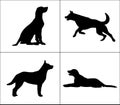 the silhouette of a dog in different poses. isolated on a white background. vector illustration Royalty Free Stock Photo