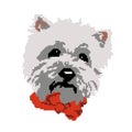 Silhouette dog breed beige Bichon Havana muzzle, head, painted in squares, pixels.