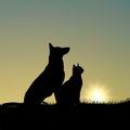 Silhouette of dog and cat on grass template