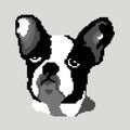 The silhouette of a dog of the French Bulldog breed is a face whose head is painted in the form of squares, pixels