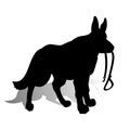 Silhouette of a Dog German Shepherd holding a leash, on a whit Royalty Free Stock Photo