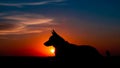 Silhouette of a dog lying down with ears perked up against a Royalty Free Stock Photo