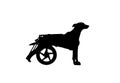 Silhouette of a dog in a wheelchair.