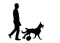 Silhouette Dog in a wheelchair is walking next to the owner.