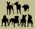 Silhouette of the dogs Royalty Free Stock Photo