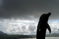 silhouette of a dolphin statue against a background of seaside hills with cloudy weather