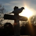 Silhouette of dove bird sitting on the cross. Created using generative Al tools Royalty Free Stock Photo