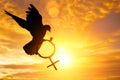 Silhouette of dove holding branch in Venus symbol shape flying on blue sky