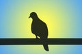 Silhouette of a Dove perching on the fence against gradient Blue and Yellow backdrop