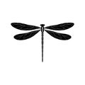 Silhouette of a dragonfly. Glyph icon of insect, simple shape of damselfly. Black vector illustration on white. Perfect for