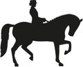 Silhouette of dressage horse Royalty Free Stock Photo