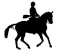 Dressage horse silhouette Royalty Free Stock Photo
