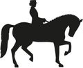 Silhouette of dressage horse and rider