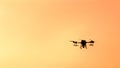 Silhouette drone flying on sunset.