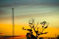 silhouette dry branch tree orange sunset sky Royalty Free Stock Photo