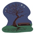 Silhouette of a dry old tree and a beautiful shade. Trunk and branches without leaves on the background of the night sky with Royalty Free Stock Photo