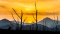 Silhouette of dry tree with mountain in sunset Royalty Free Stock Photo