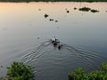 The silhouette of duck in a water at the sunset. Royalty Free Stock Photo