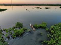 The silhouette of duck in a water at the sunset. Royalty Free Stock Photo