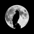 The Silhouette Of An Eagle On The Background Of The Moon. Illustration Of A Bird Of Prey, A Relative Of A Falcon, A Hawk, An Owl,