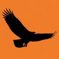 Silhouette of an eagle in flight against an orange background Royalty Free Stock Photo
