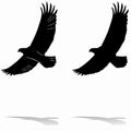 Silhouette of eagle, vector drawing Royalty Free Stock Photo