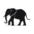 silhouette of an elefant on white background