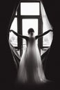 Silhouette of elegand bride stand by the window, Black and white photo