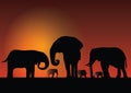 Silhouette of elephans