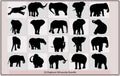 silhouette of elephant with baby elephant,Elephant collection - vector silhouette,silhouette elephants in different poses