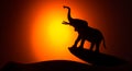 Silhouette elephant on the background of sunset
