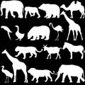 Silhouette elephant bear eagle trot duck zebra on a white background