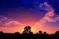 Silhouette elephant family herd animals wildlife evacuate walking in twilight sunset beautiful background