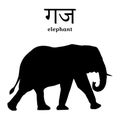 Silhouette of an elephant with the inscription in Sanskrit and English. Isolated. Vector illustration