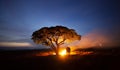 Silhouette of Elephant standing by tree at night. The Kuy Kui People of Thailand. Elephant Ritual Making or Wild Elephant Catchin