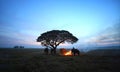 Silhouette of Elephant standing by tree at night. The Kuy Kui People of Thailand. Elephant Ritual Making or Wild Elephant Catchin