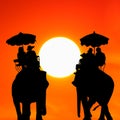 Silhouette elephant with tourist at sunset Royalty Free Stock Photo