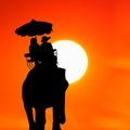 Silhouette elephant with tourist at sunset Royalty Free Stock Photo